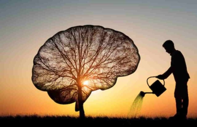 7 Effective Self-Care Habits to Boost Your Mental Health 7 Effective Self-Care Habits to Boost Your Mental Health